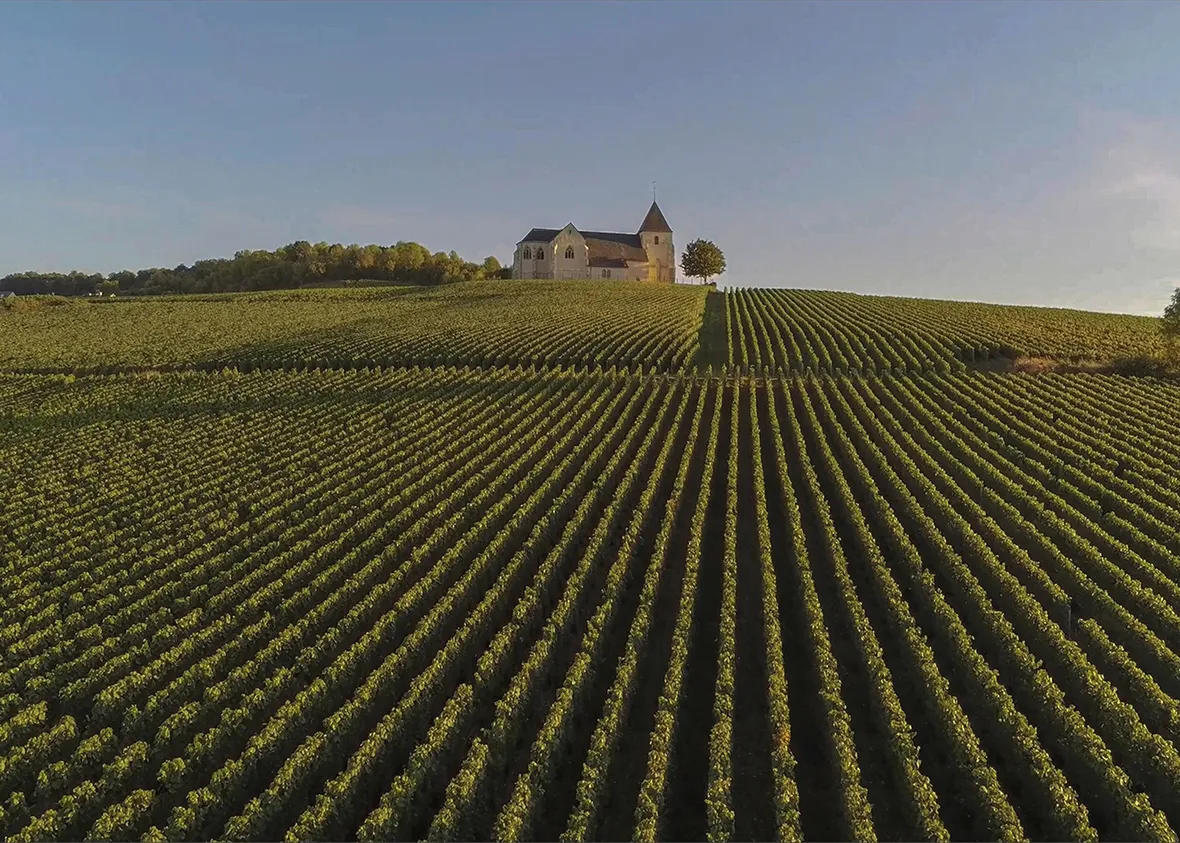 bi-taxis-prestige-chauffeur-vtc-reims-photo-village-vigne-1
